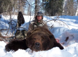 Bear Hunts