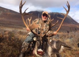 Joe Caribou 3
