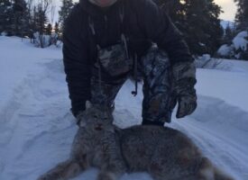 Predator HUnt 10 2016