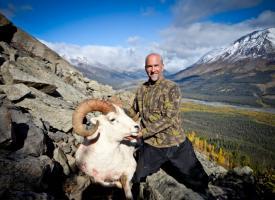 randy_weik_sheep(2)