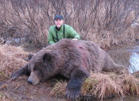 scott bear
