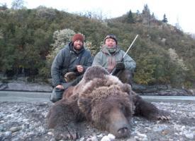 spaniard bear