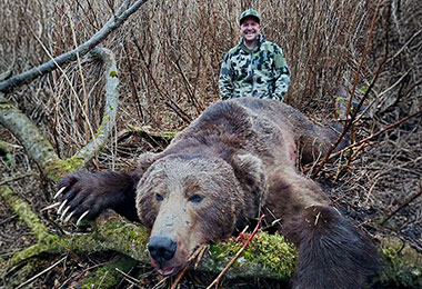 Bear Hunts