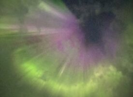 IMG_6834