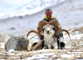 International Hunts