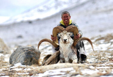 International Hunts