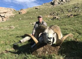John_Kamps_Altai_Argali_July_2_1917