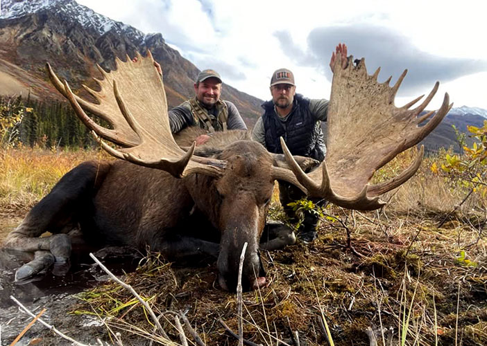 Moose-01