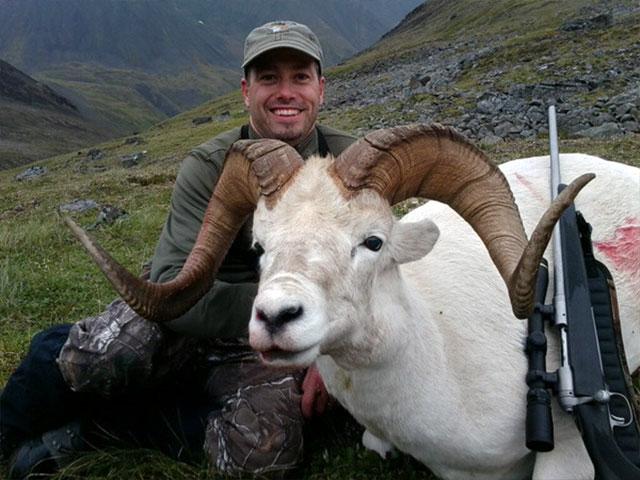 Sheep3