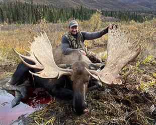 Yukon-Bull